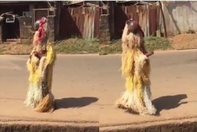 'The Gods Have Been Shaken'- After hearing a vicious dog bark, a masquerade took the quickest route to safety [VIDEO].